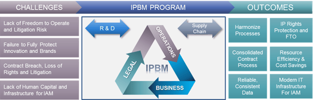 IPBM for corporations illustrative model